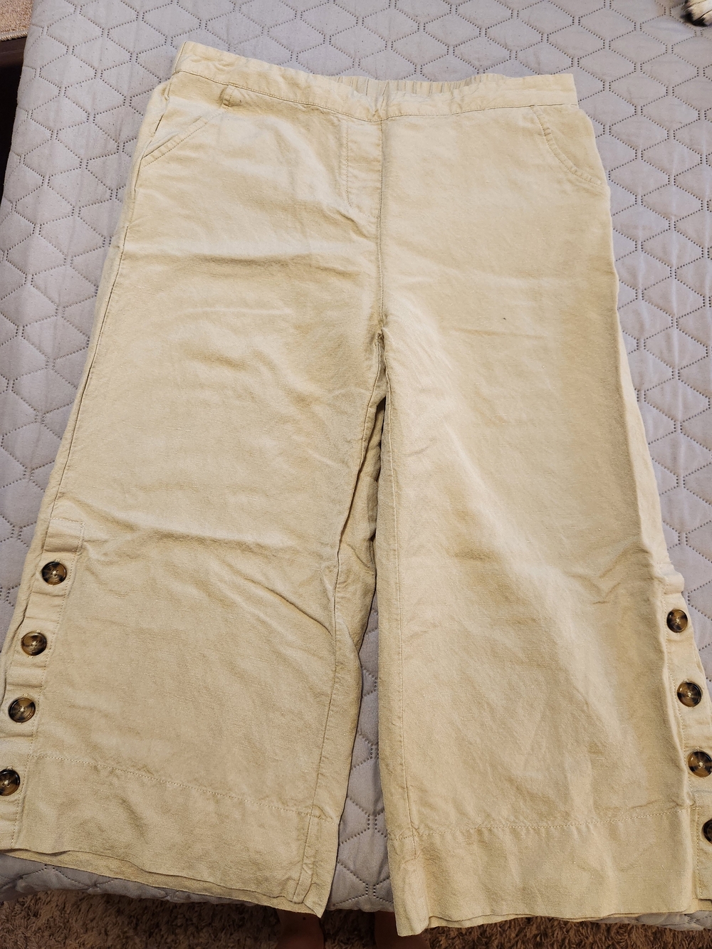 Zac & Rachel Light Tan Pull-On Wide Leg Pants